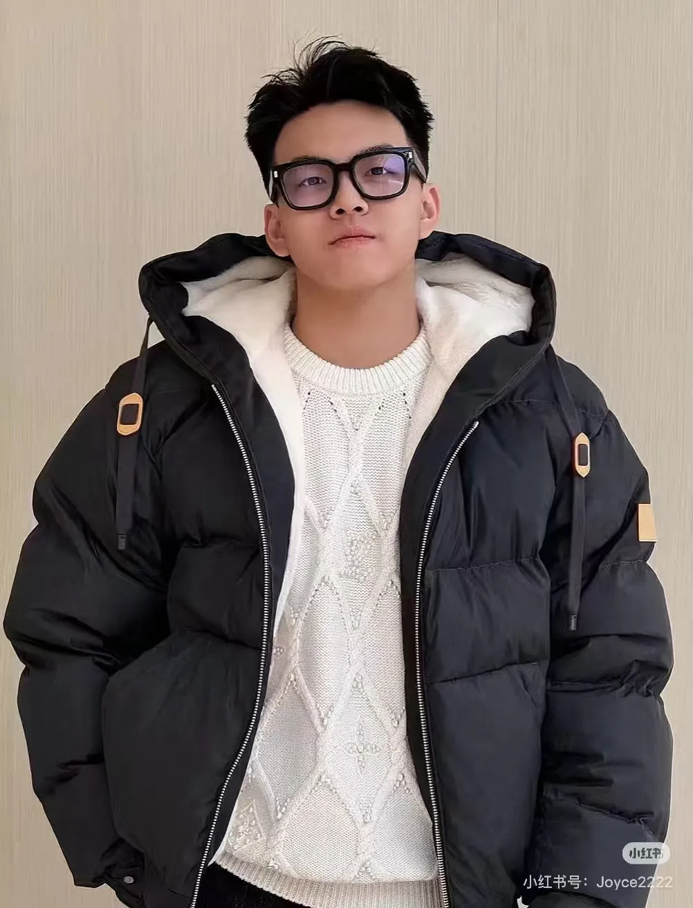 Louis Vuitton/Louis Vuitton Ski Series Full Print Jacquard Lambswool Hooded Down Cotton Jacket